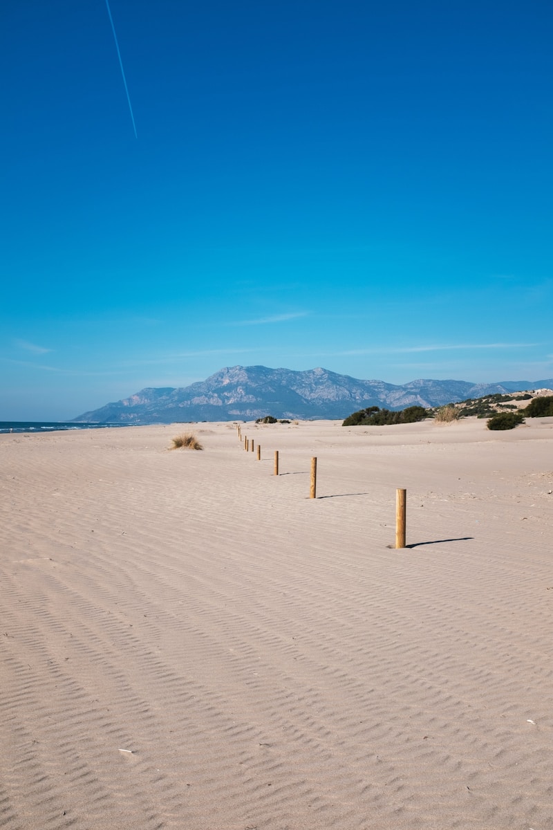 Patara Plajı Ve Tarihi Kent Rehberi