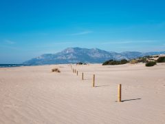 Patara Plajı Ve Tarihi Kent Rehberi