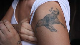 Boğa Kadını Genel Özellikleri