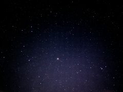 Başak Erkeği Genel Özellikleri