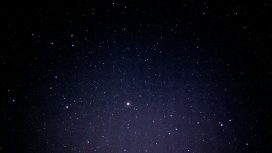 Başak Erkeği Genel Özellikleri