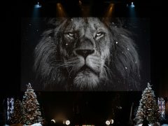 Aslan Burcu Faydalı Doğal Taşları Nelerdir